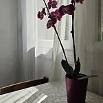 Habitación en casa particular Rosalia Liubliana