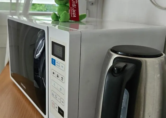 ホームステイ Rosalia