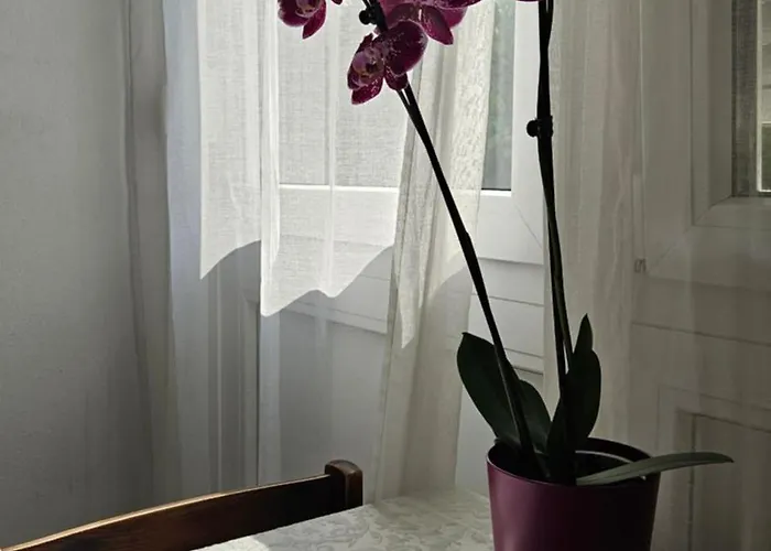 Δωμάτια σε οικογενειακή κατοικία Rosalia Λιουμπλιάνα