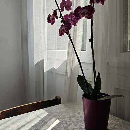 Privat bolig Rosalia Ljubljana